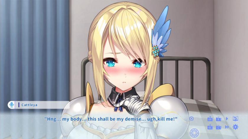 与女骑士共度的时光